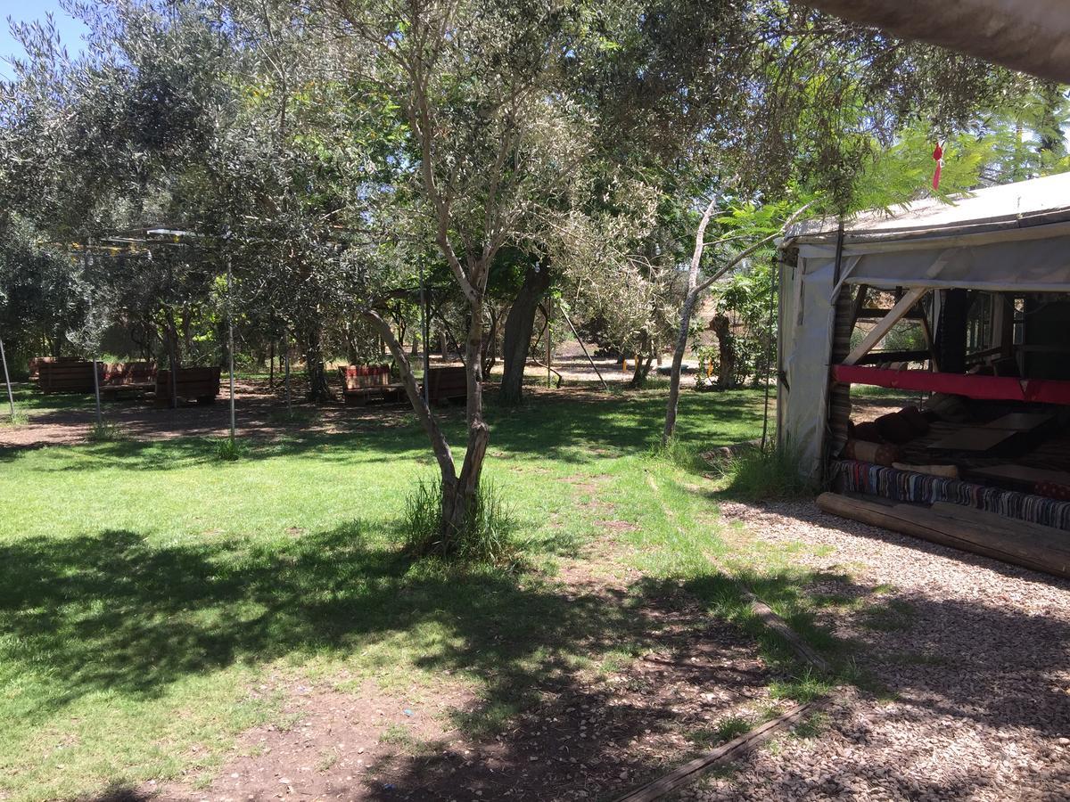 Peace Tent Βίλα Kfar Rut Εξωτερικό φωτογραφία