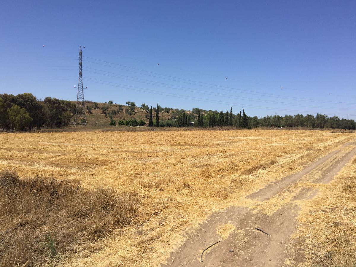 Peace Tent Βίλα Kfar Rut Εξωτερικό φωτογραφία